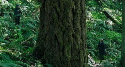 Leave_No_Trace_mp41347.jpg