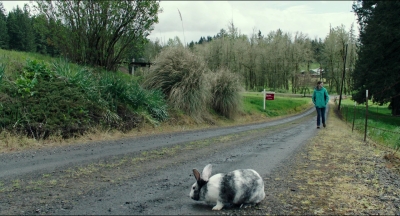 Leave_No_Trace_mp42614.jpg