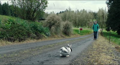 Leave_No_Trace_mp42618.jpg