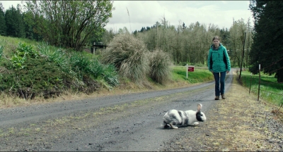 Leave_No_Trace_mp42622.jpg