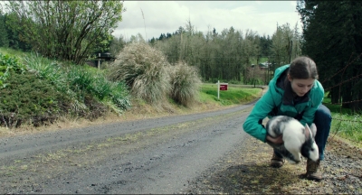 Leave_No_Trace_mp42631.jpg