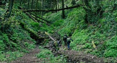 Leave_No_Trace_mp43145.jpg