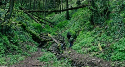 Leave_No_Trace_mp43149.jpg