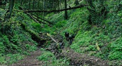 Leave_No_Trace_mp43150.jpg