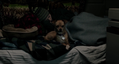 Leave_No_Trace_mp43651.jpg