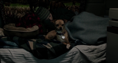 Leave_No_Trace_mp43653.jpg