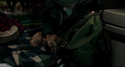 Leave_No_Trace_mp43698.jpg