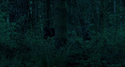 Leave_No_Trace_mp43874.jpg