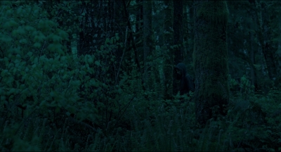 Leave_No_Trace_mp43879.jpg