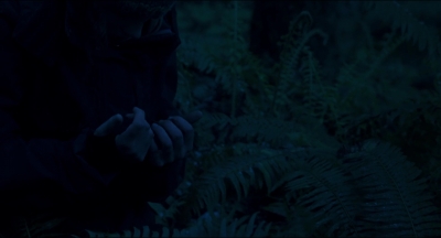 Leave_No_Trace_mp43917.jpg