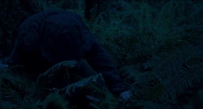 Leave_No_Trace_mp43919.jpg