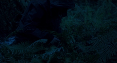 Leave_No_Trace_mp43922.jpg