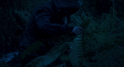 Leave_No_Trace_mp43923.jpg