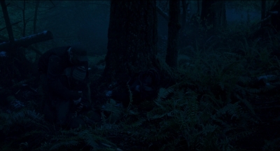 Leave_No_Trace_mp43956.jpg