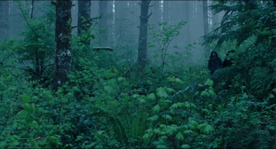 Leave_No_Trace_mp44073.jpg
