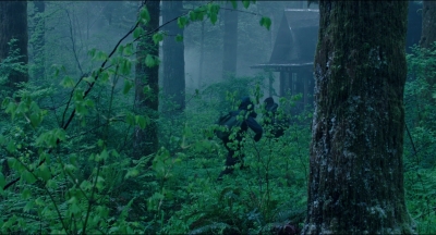 Leave_No_Trace_mp44077.jpg