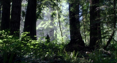 Leave_No_Trace_mp44498.jpg