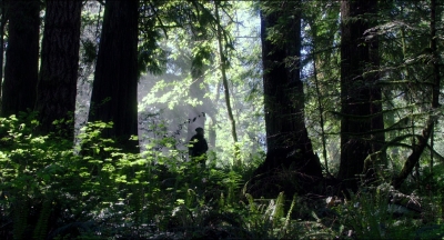 Leave_No_Trace_mp44500.jpg