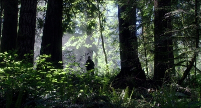 Leave_No_Trace_mp44501.jpg