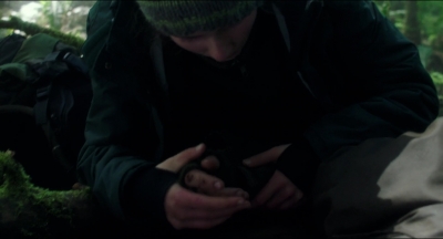 Leave_No_Trace_mp44542.jpg