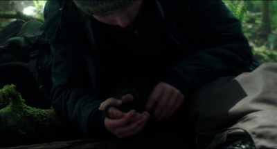 Leave_No_Trace_mp44543.jpg