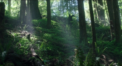 Leave_No_Trace_mp44564.jpg