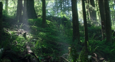 Leave_No_Trace_mp44565.jpg