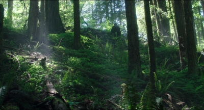 Leave_No_Trace_mp44566.jpg
