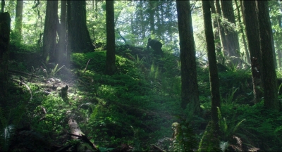 Leave_No_Trace_mp44567.jpg