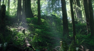 Leave_No_Trace_mp44568.jpg