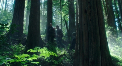 Leave_No_Trace_mp44625.jpg