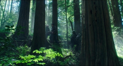 Leave_No_Trace_mp44629.jpg