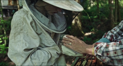 Leave_No_Trace_mp45108.jpg