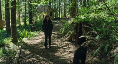 Leave_No_Trace_mp46068.jpg