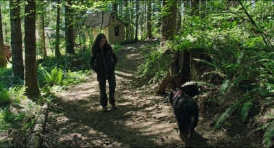 Leave_No_Trace_mp46069.jpg