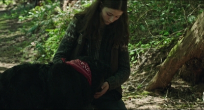 Leave_No_Trace_mp46077.jpg