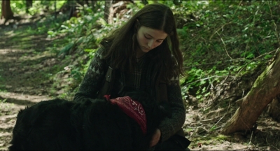 Leave_No_Trace_mp46078.jpg