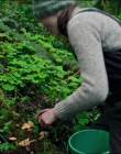 Filename=Leave_No_Trace_mp40270.jpg
Filesize=1277KiB
Dimensions=1920x1040
Date added=Jan 15, 2020 Leave_No_Trace_mp40270.jpg