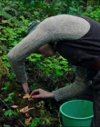 Filename=Leave_No_Trace_mp40272.jpg
Filesize=1418KiB
Dimensions=1920x1040
Date added=Jan 15, 2020 Leave_No_Trace_mp40272.jpg