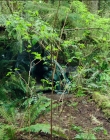 Filename=Leave_No_Trace_mp40419.jpg
Filesize=1877KiB
Dimensions=1920x1040
Date added=Jan 15, 2020 Leave_No_Trace_mp40419.jpg