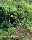 Leave_No_Trace_mp40420.jpg