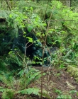 Leave_No_Trace_mp40421.jpg