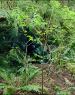 Filename=Leave_No_Trace_mp40422.jpg
Filesize=1830KiB
Dimensions=1920x1040
Date added=Jan 15, 2020 Leave_No_Trace_mp40422.jpg