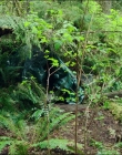 Filename=Leave_No_Trace_mp40423.jpg
Filesize=1772KiB
Dimensions=1920x1040
Date added=Jan 15, 2020 Leave_No_Trace_mp40423.jpg