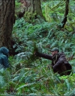 Filename=Leave_No_Trace_mp40560.jpg
Filesize=1770KiB
Dimensions=1920x1040
Date added=Jan 15, 2020 Leave_No_Trace_mp40560.jpg