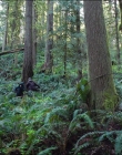 Filename=Leave_No_Trace_mp40564.jpg
Filesize=1926KiB
Dimensions=1920x1040
Date added=Jan 15, 2020 Leave_No_Trace_mp40564.jpg