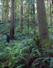 Filename=Leave_No_Trace_mp40565.jpg
Filesize=1924KiB
Dimensions=1920x1040
Date added=Jan 15, 2020 Leave_No_Trace_mp40565.jpg