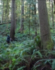 Filename=Leave_No_Trace_mp40566.jpg
Filesize=1911KiB
Dimensions=1920x1040
Date added=Jan 15, 2020 Leave_No_Trace_mp40566.jpg