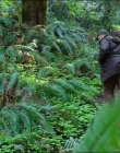 Filename=Leave_No_Trace_mp40601.jpg
Filesize=1535KiB
Dimensions=1920x1040
Date added=Jan 15, 2020 Leave_No_Trace_mp40601.jpg