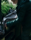 Leave_No_Trace_mp40747.jpg